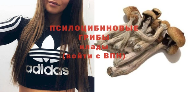 2c-b Алексин