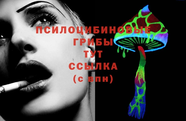 стафф Алзамай