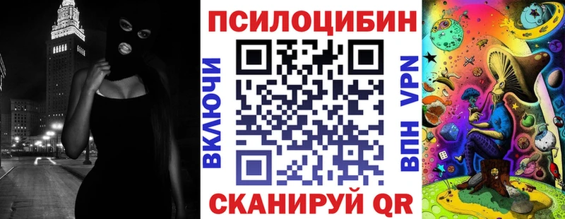 купить закладку  Бердск  Псилоцибиновые грибы MAGIC MUSHROOMS 