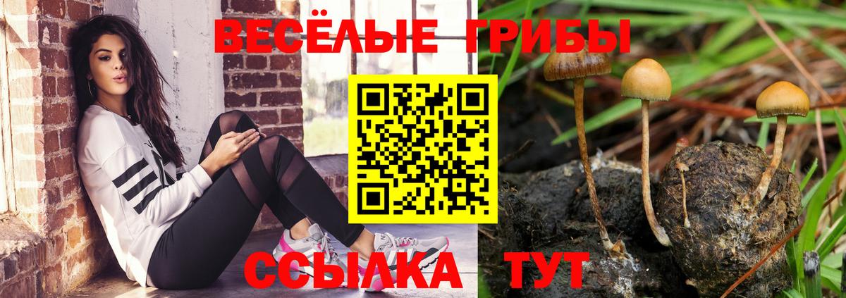 Галлюциногенные грибы GOLDEN TEACHER Бердск